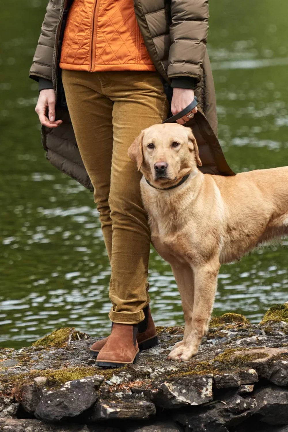 Honeysuckle Cord Jeans - Harvest Gold