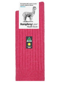 Alpaca Wool Health Socks - Multiple Colours